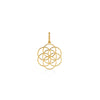 DIJE SEMILLA DE LA VIDA EN ORO 18K