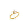 ANILLO DIAMANTES MULTICORTE ARO SIMPLE EN ORO 18K