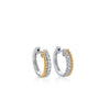 ARGOLLAS DIAMANTES Y BORDE PUNTOS EN ORO BLANCO Y AMARILLO 18K