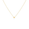 COLLAR ESTRELLA PASANTE EN ORO 18K